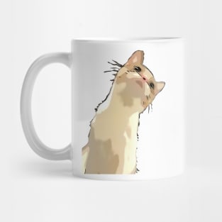 Photogenic Cat Mug